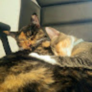 Meet your Posher, Jonah